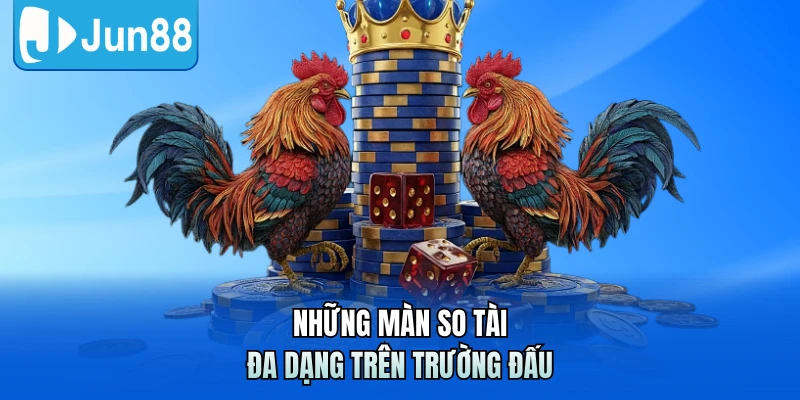 Những màn so tài đa dạng trên trường đấu