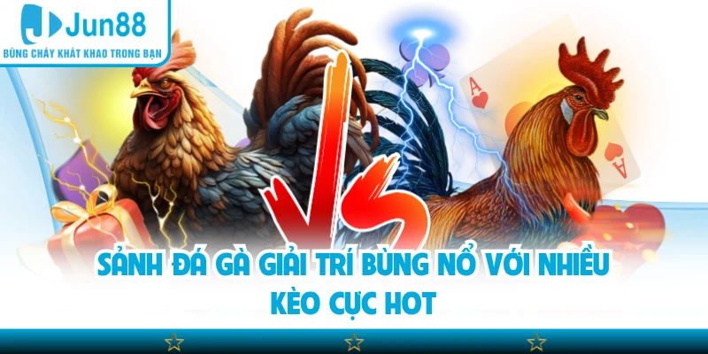 Sảnh đá gà giải trí bùng nổ với nhiều kèo cực hot